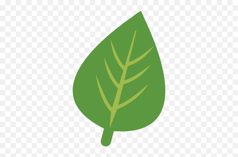 Herb Green Leaf Icon Png And Svg Vector Free Download - Vertical,Warning Icon 16x16