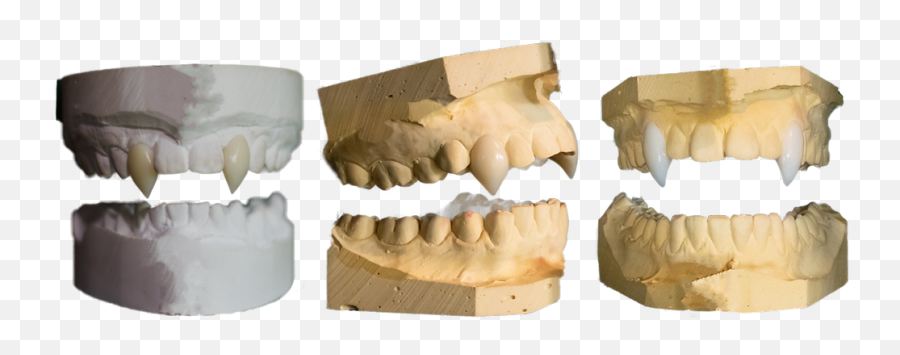 Fang Gallery - A Display Of Past Creations Horizontal Png,Vampire Teeth Icon