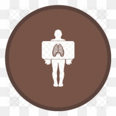 Chest X - ray Icon png
