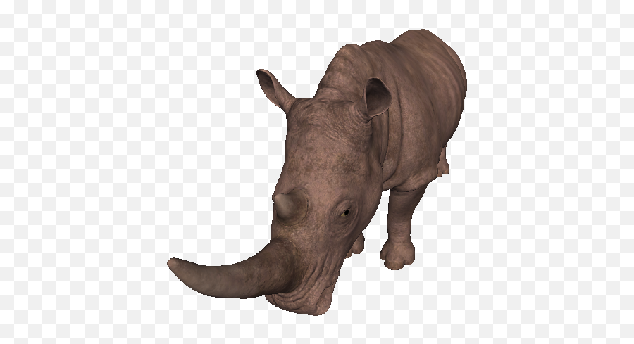 Miocene White Rhinoceros - Black Rhinoceros Png,Rhino Png