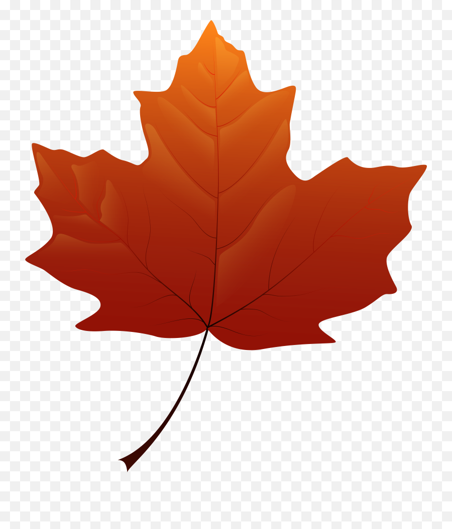 Fall Leaves Image Free Download Png Leaf Transparent