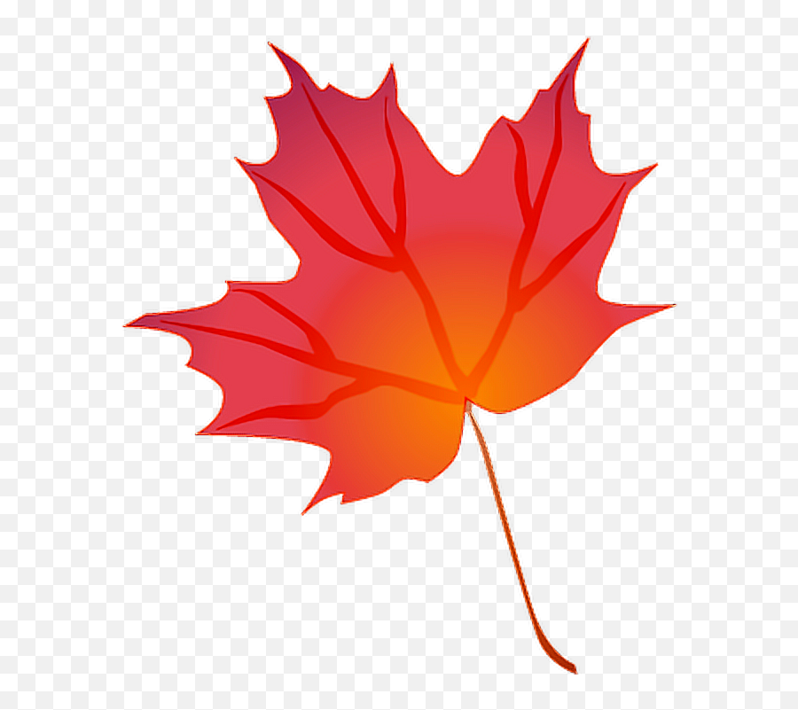 Fall Leaves Png Photos - Leaves Png For Picsart,Fall Leave Png