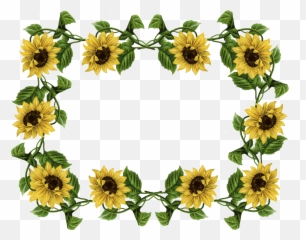 Sunflowers Translucent Transparent U0026 Png Clipart Free - Transparent Sunflower Frame,Sunflowers Transparent Background