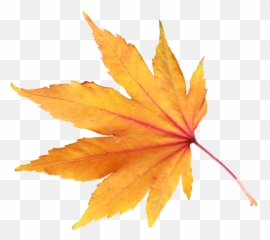 Download Autumn Png Leaf Hq Image - Transparent Background