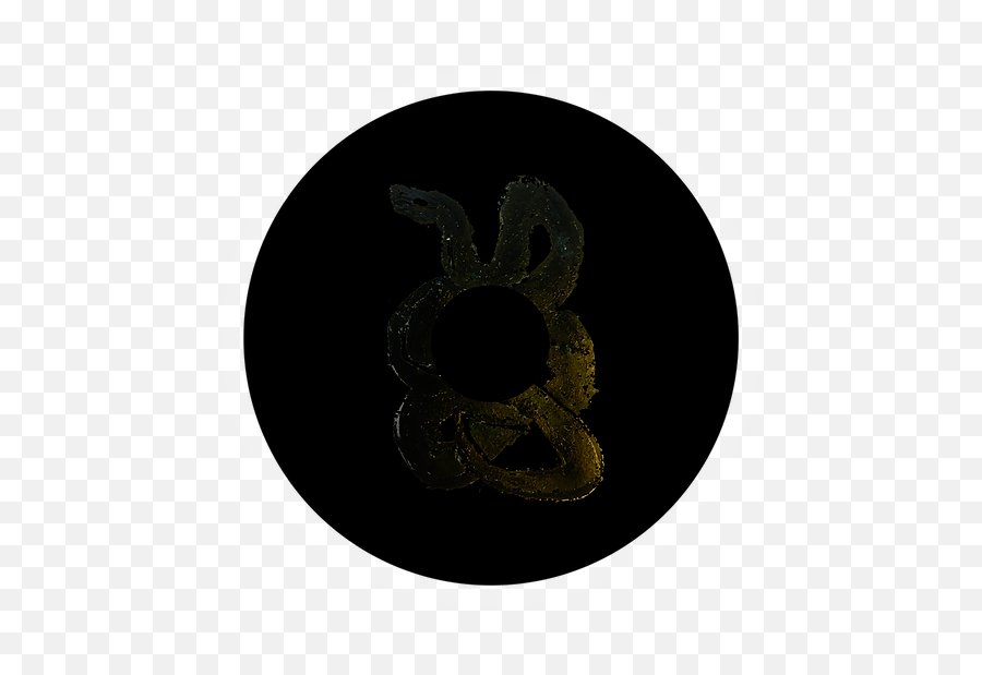 Inflex - Circle Png,Snake Eye Png