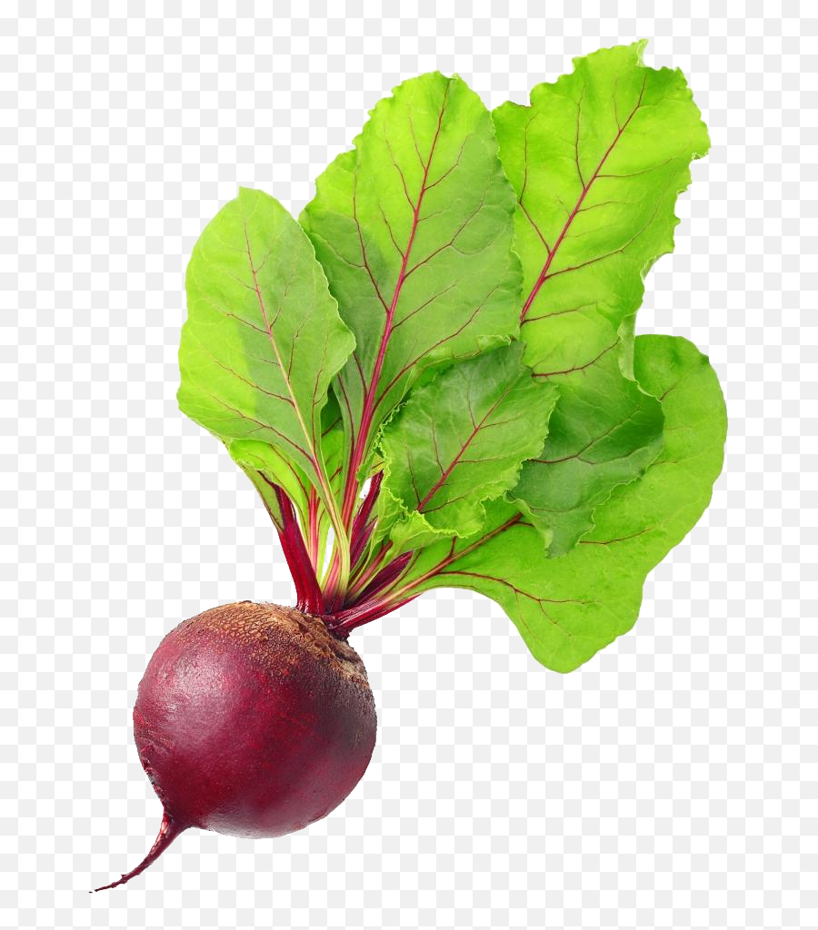 Beet Png 4 Image - Beetroot Png,Beet Png