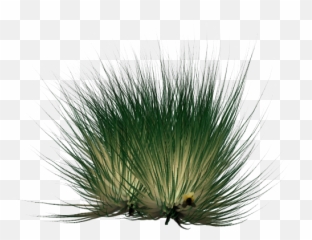Alpha Magic - Grass Pics With Black Background Png,White Glow Png