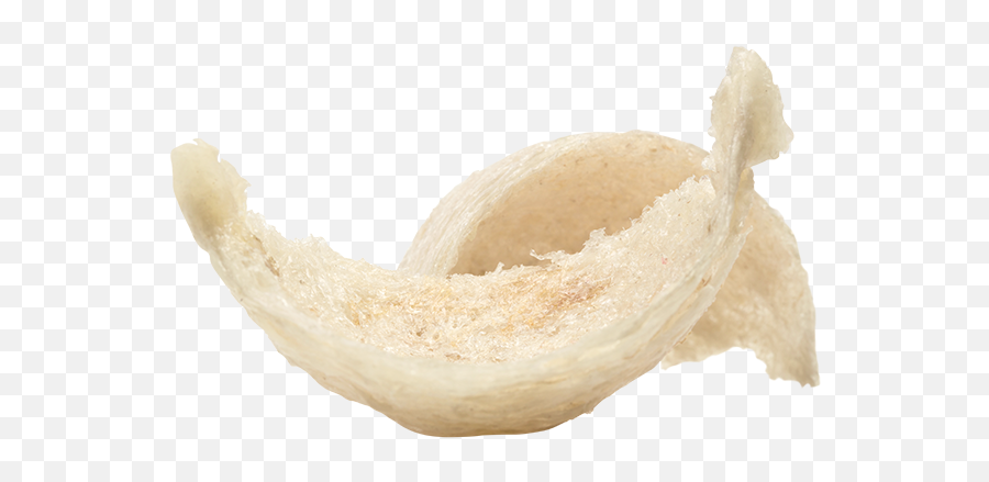 Zheng Feng Equity - Fortune Cookie Png,Bird Nest Png