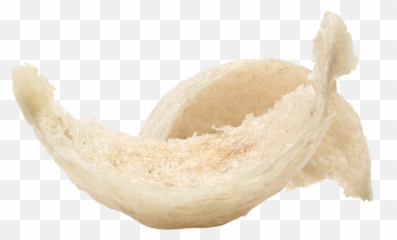 Zheng Feng Equity - Fortune Cookie Png,Bird Nest Png