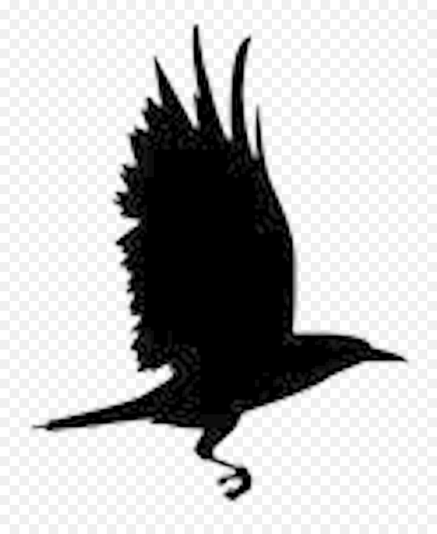 Raven Art Png Picture 399753 - Portable Network Graphics,Raven Silhouette Png