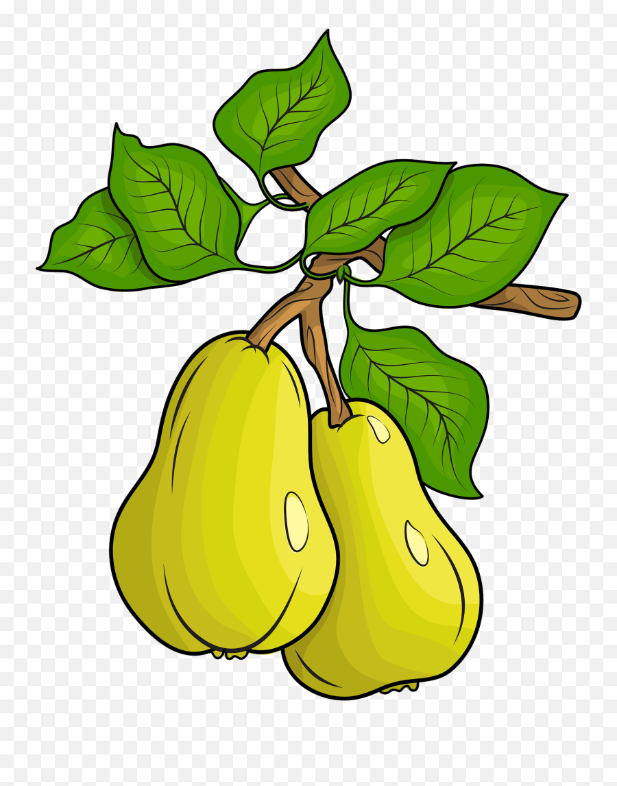 Clipart - Pears Clipart Png,Pears Png