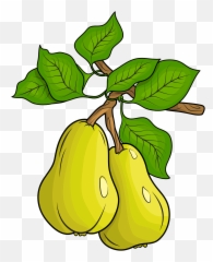 Clipart - Pears Clipart Png,Pears Png