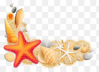 Clip Art - Clipart Seashell Png Transparent,Seashell Png