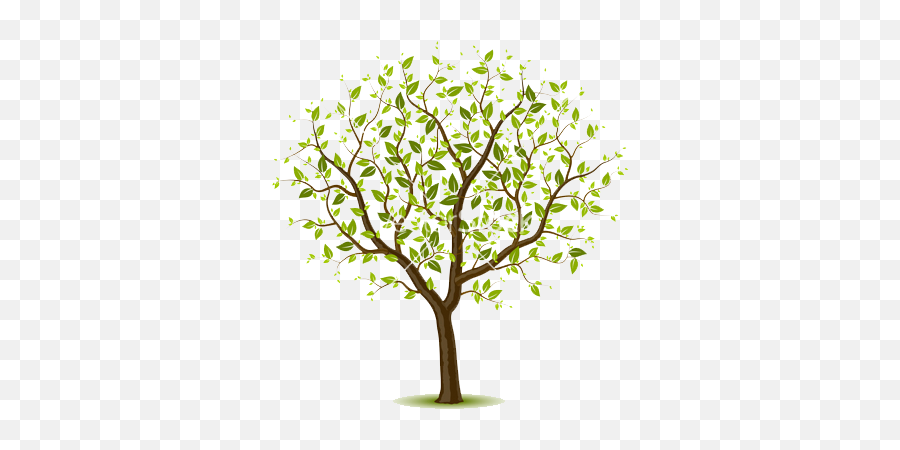 Spring - Ps 211 Elm Tree Elementary Tree Png,Tree Vector Png