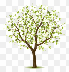 Spring - Ps 211 Elm Tree Elementary Tree Png,Tree Vector Png