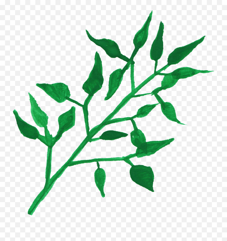 30 Watercolor Leaf Png Transparent Vol 4 Onlygfxcom - Png Transparent Watercolor Plants,Mint Leaves Png