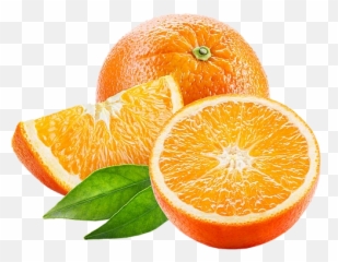 Citrus - Citrus Sinensis Png,Citrus Png