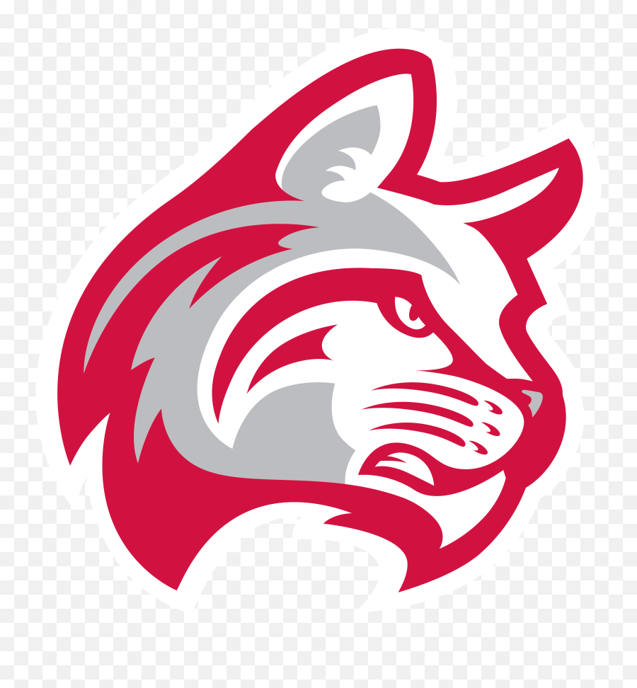 Indiana Wesleyan University Christian Liberal Arts College - Indiana Wesleyan University Mascot Png,Indiana University Logo Png