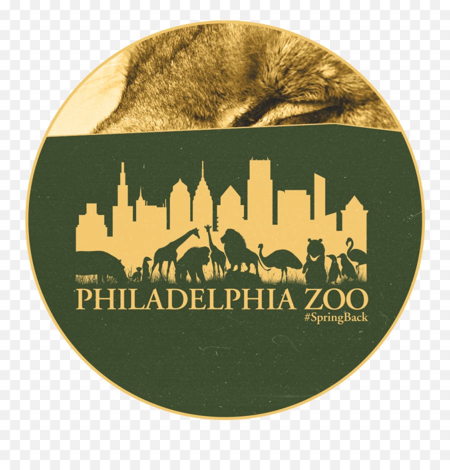 Dsgn Tree Branches U2014 - Philadelphia Zoo Png,Philadelphia Skyline Silhouette Png