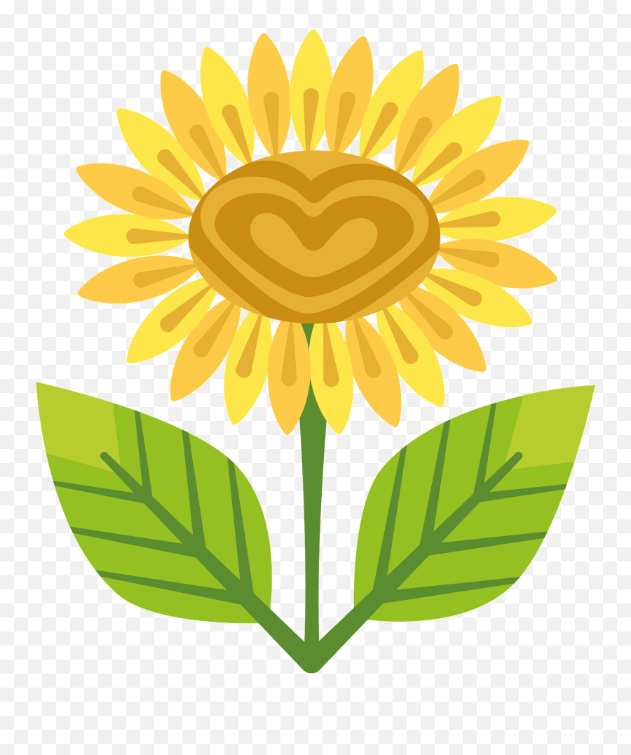 Sunflower Clipart Free Download Transparent Png Creazilla - Illustration,Transparent Sunflowers