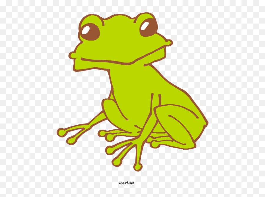 Animals Toad Frogs For Frog - Frog Clipart Animals Clip Art Pond Frogs Png,Toad Transparent