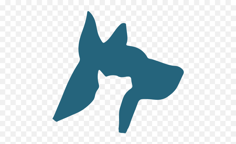 Veterinarian In Boynton Beach Fl Animal Hospital - Shark Png,Aniami Teeth Icon