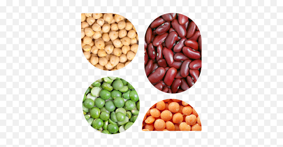 Request For Proposals Industry Consultants Pulse Starch - Bean Texture Png,Pea Icon