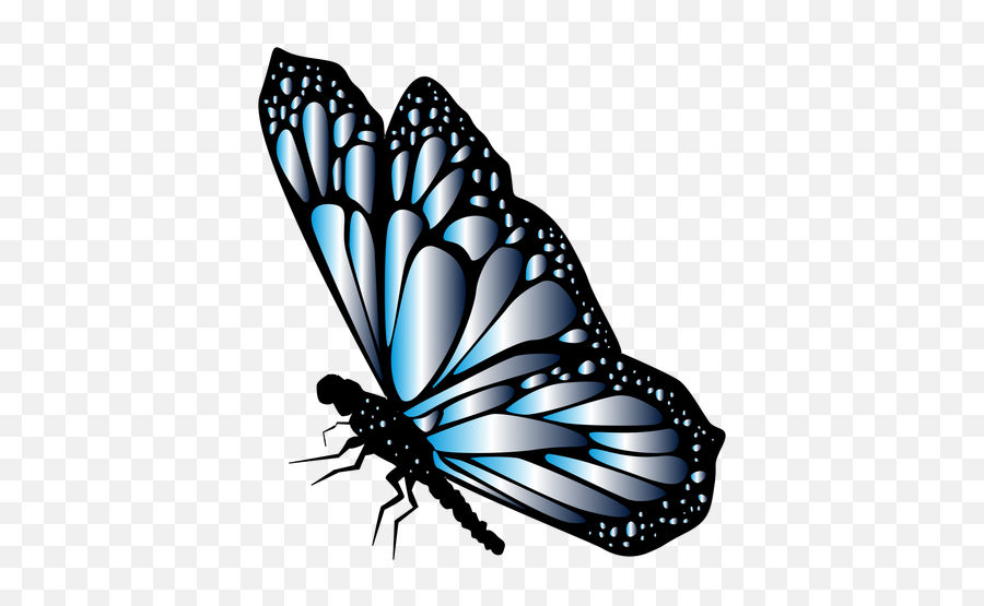 Transparent Png Svg Vector Side Monarch Butterfly Outline Free Transparent ...