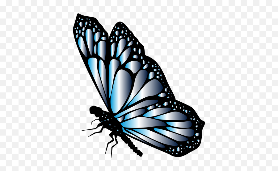 Free Free 63 Blue Butterfly Svg Free SVG PNG EPS DXF File