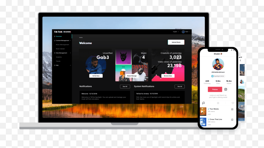 Tiktok Unveils Artist - Focused App For Uploading Music And Screenshot Png,Tik Tok Png
