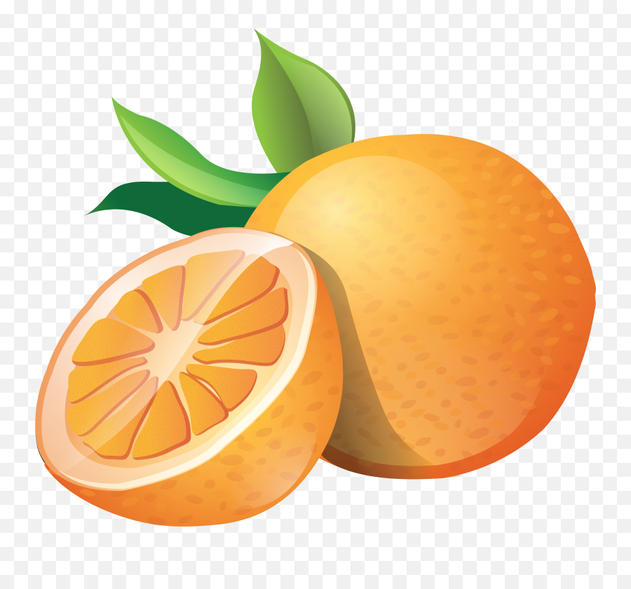 Orange - Orange Clipart Png,Orange Tree Png