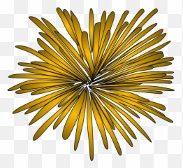 Fireworks - Portable Network Graphics Png,Gold Fireworks Png