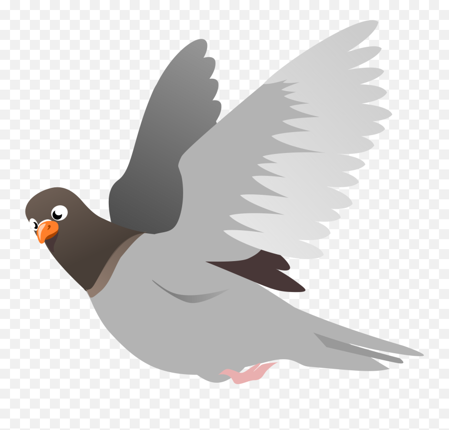 Pigeon Transparent Images Png Mart - Flying Bird Clipart Png,Pigeons Png