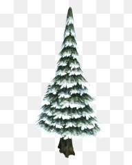 Evergreen - Transparent Background Snow Pine Tree Png