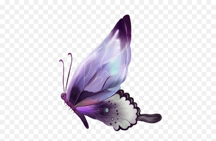 Butterfly Quilt White Art - Gerçek Kelebekler Png,Purple Butterfly Png