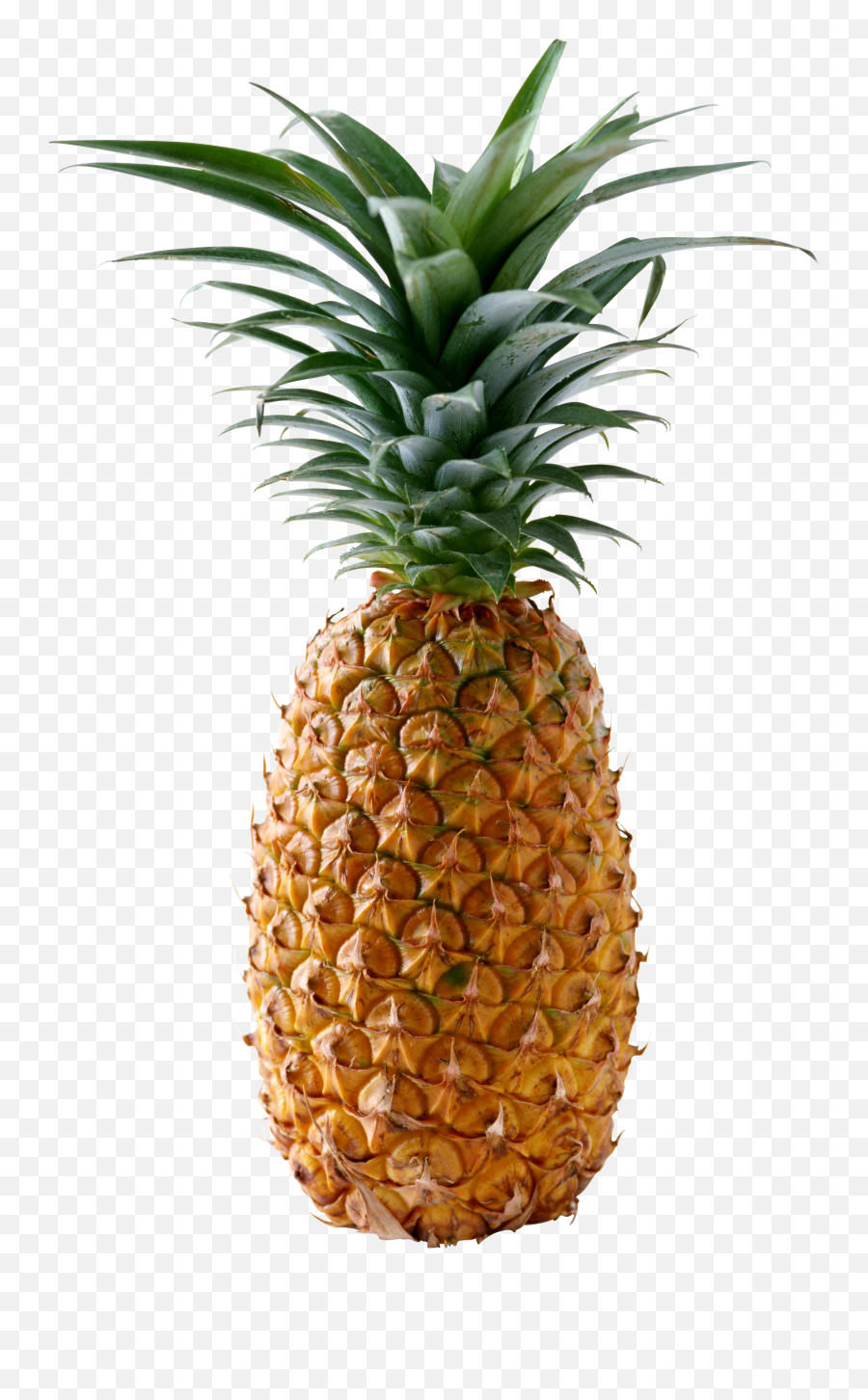 Pineapple Clipart High Quality - Pineapple Png,Pineapple Clipart Png