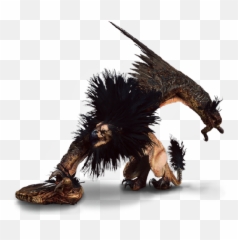 Griffin Creature - The Official Witcher Wiki Griffin Witcher 3 Png,Griffin Png