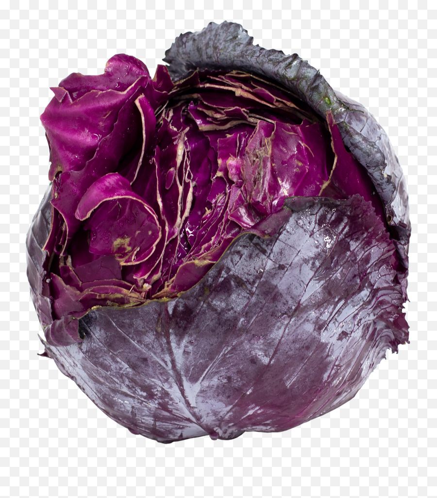Red Cabbage 5 Lb Avg Png Transparent