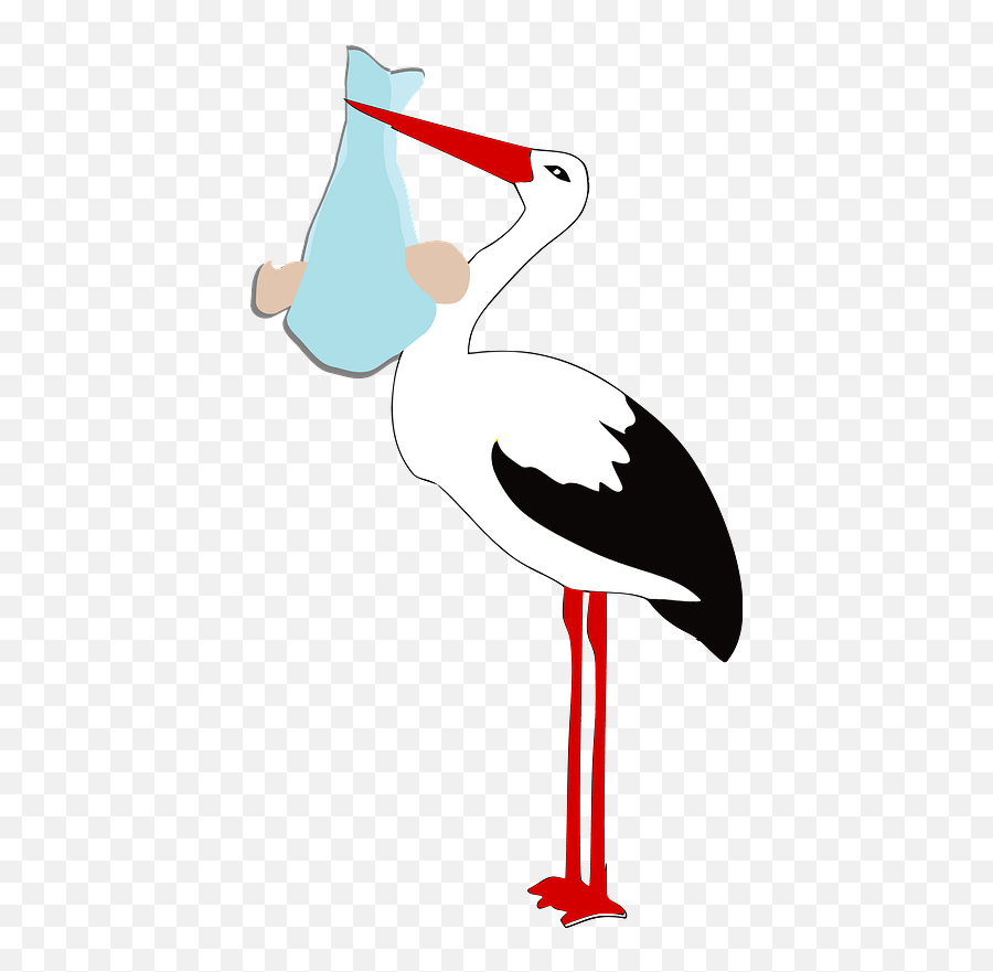 Stork Holding A Baby Boy Clipart - White Stork Png,Stork Png