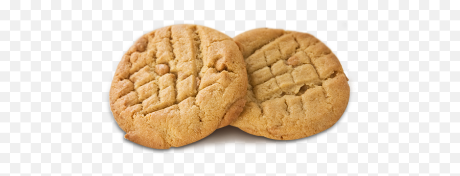 Library Of Peanut Butter Cookies Vector - Peanut Butter Cookies Png,Biscuit Transparent