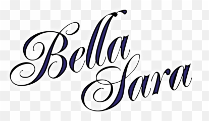 Nintendo Dslogo U2013 Bella Sara Usa Diskmachu0027s Game Art - png
