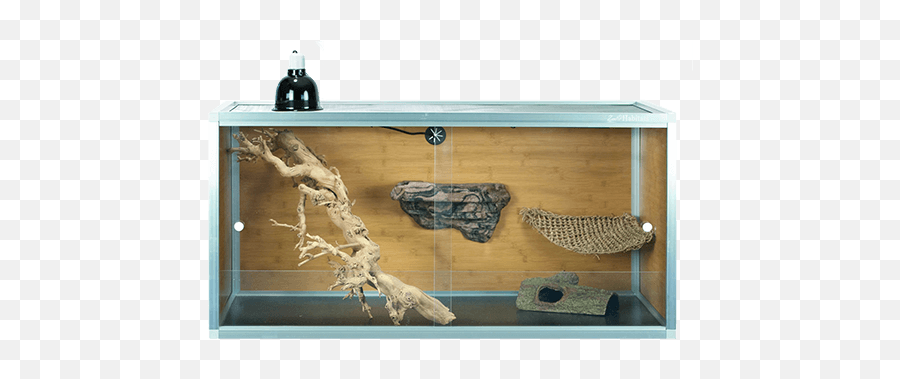 How To Create The Right Habitat For Your Bearded Dragon - Zen Habitats Bearded Dragon Png,Bearded Dragon Png