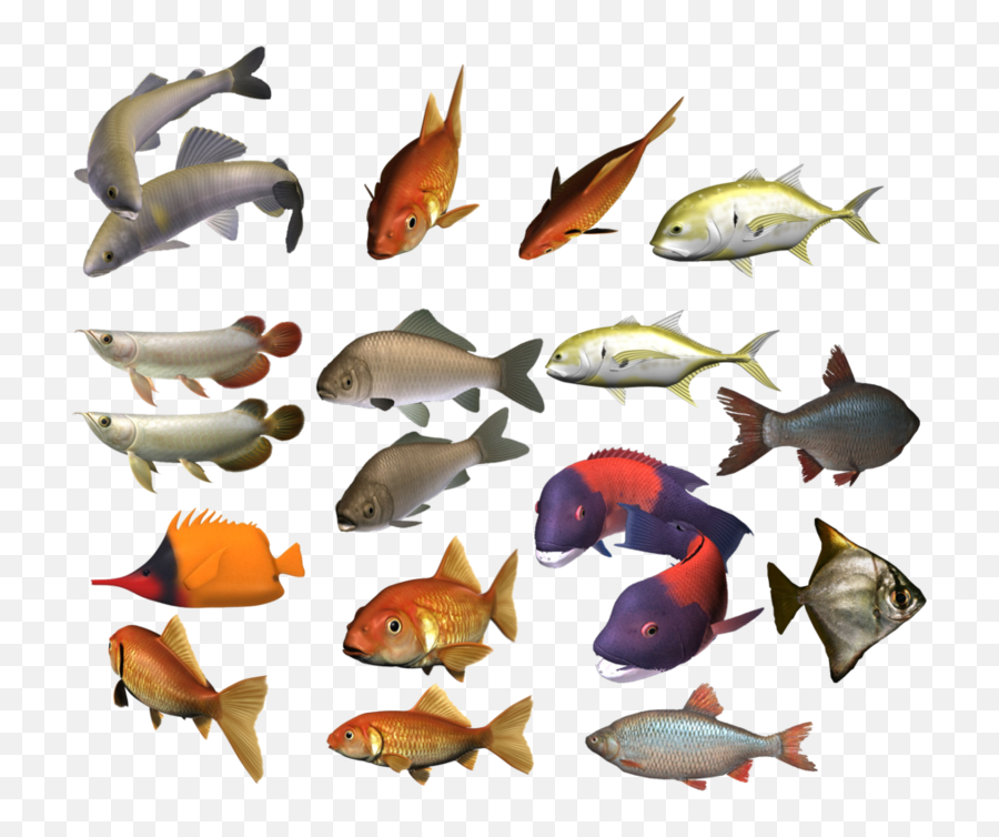 Fish Png Image - Transparent Background Group Of Fish Png,School Of Fish Png