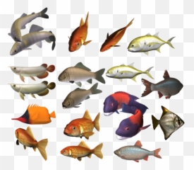 Fish Png Image - Transparent Background Group Of Fish Png,School Of Fish Png