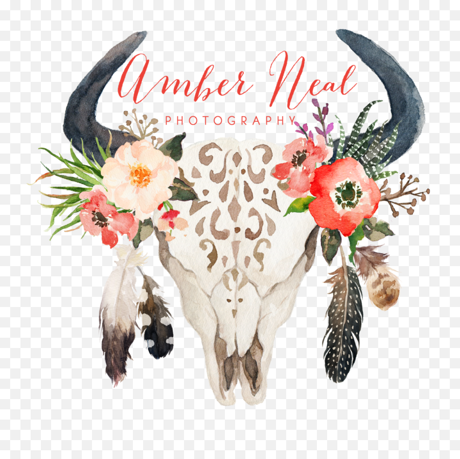 Download Skull Logo - Cow Skull With Flowers And Feathers Png,Cow Skull Png