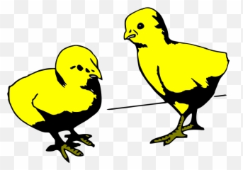 Cartoon Baby Chicks Gif - Outline Clipart Black And White png