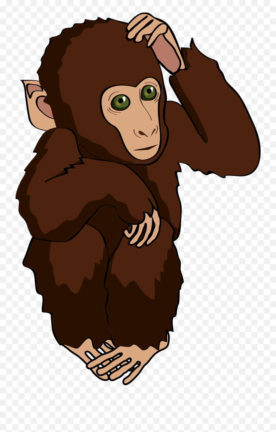 Monkey Clipart Free Download Transparent Png Creazilla - Monkey,Monkey Transparent