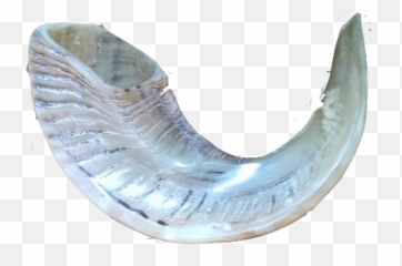 To Dwell In The House Of Lord Mary Oliver Challenge - Horn Png,Shofar Png