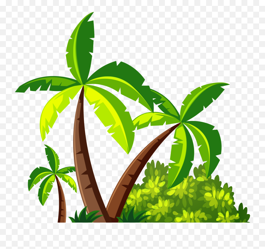 Coconut Tree Leaf Png Images Collection Palm Leaves