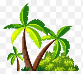 Coconut Tree Leaf Png Images Collection